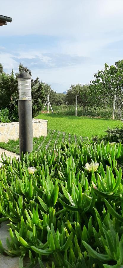 Mobile Homes Kamp Maslina, ביוגראד נה מורו מראה חיצוני תמונה