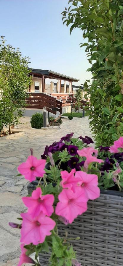 Mobile Homes Kamp Maslina, ביוגראד נה מורו מראה חיצוני תמונה
