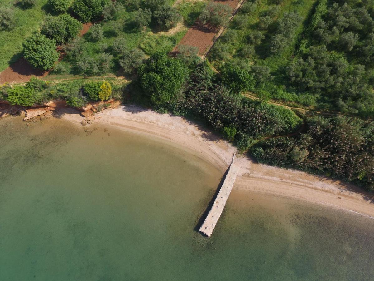 Mobile Homes Kamp Maslina, ביוגראד נה מורו מראה חיצוני תמונה